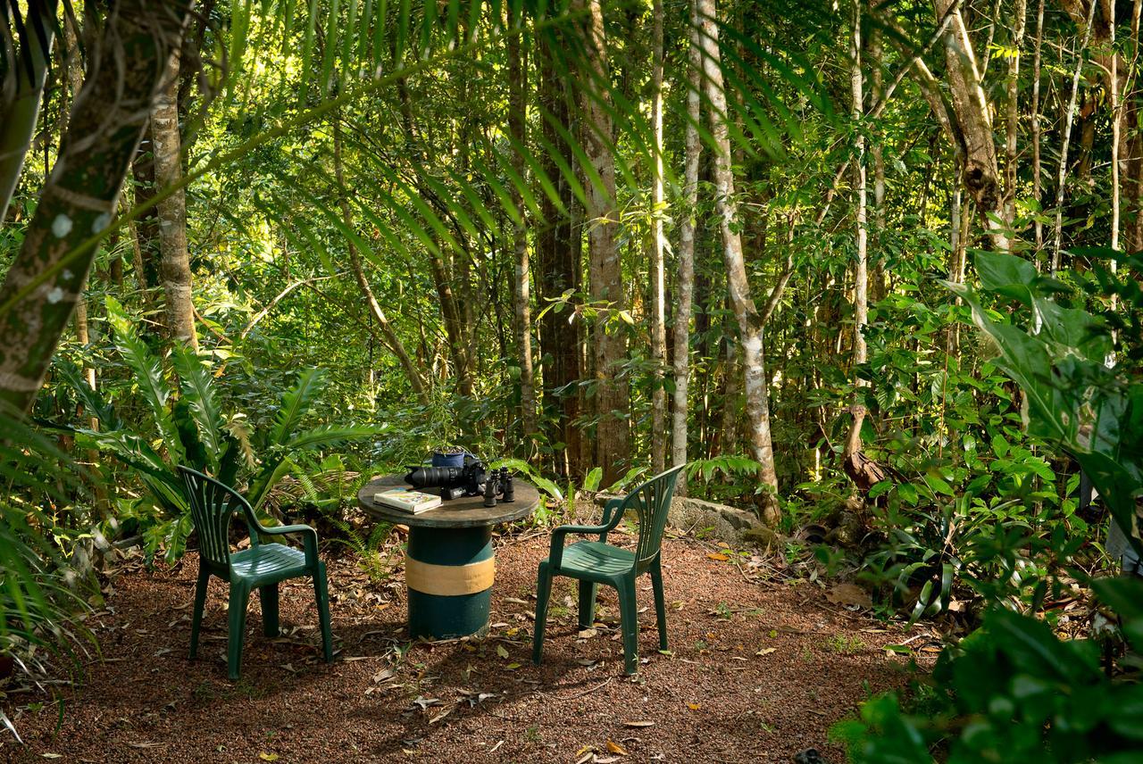 Villa Sharlynn By The River à Malanda Extérieur photo