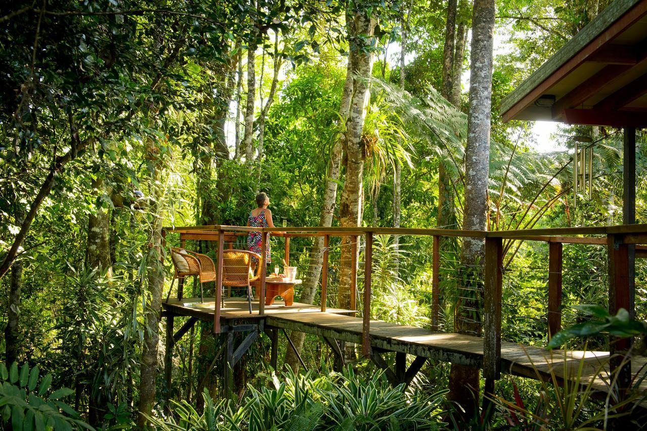 Sharlynn By The River Malanda Extérieur photo