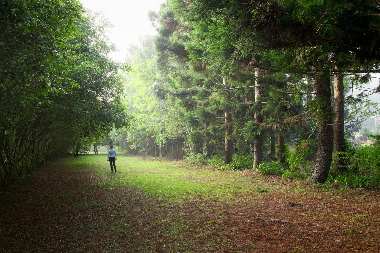 Sharlynn By The River Malanda Extérieur photo